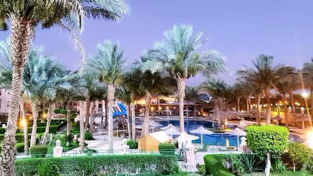 Een resort met palmbomen, een zwembad en een verzorgde tuin.