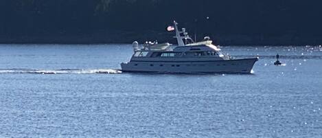 Eine große Yacht auf ruhigem Wasser, im Hintergrund eine bewaldete Küste.