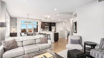 電視、電子遊戲、DVD 播放機