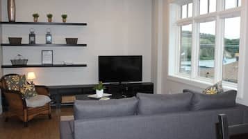 TV, video games, DVD player