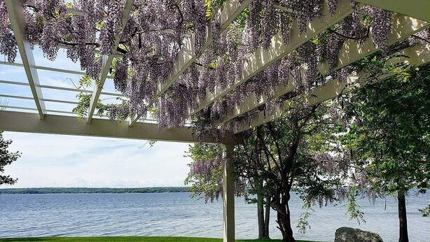 Un espace extérieur abrité, doté d’une pergola, offrant une vue sur un lac et comprenant un coin salon agrémenté d’une plante en pot.