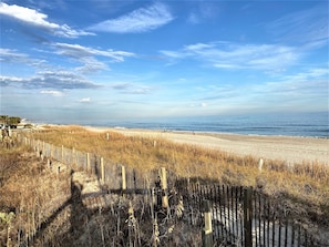 On the beach