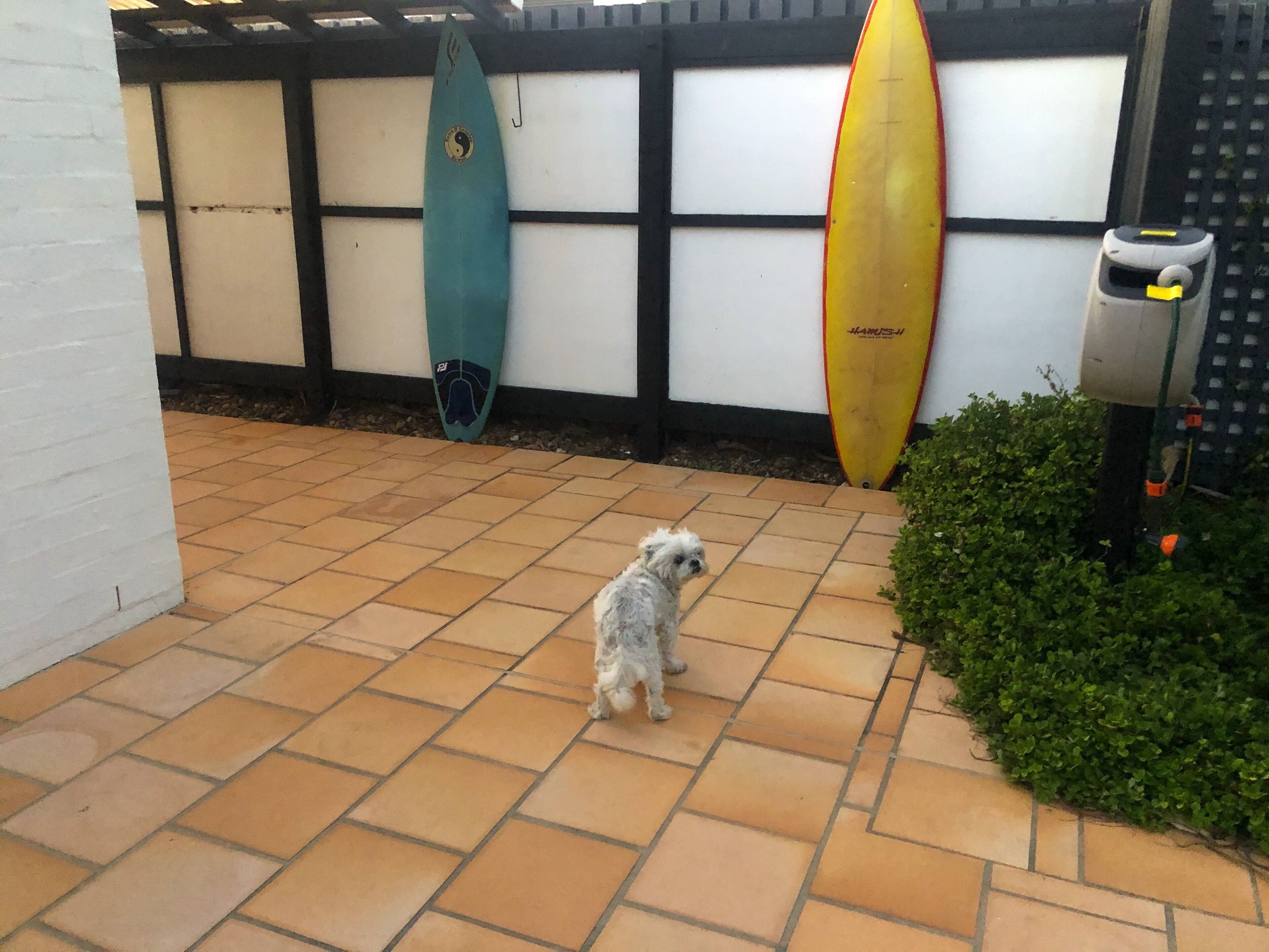 Ocean Front Tropical Hideaway! — image 5