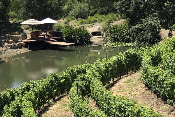 One of the beautiful vineyards close by.
