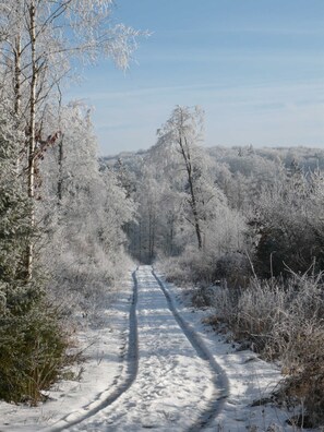 Unclassified image, 2 of 41, button