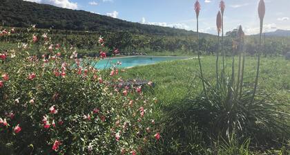LA BASTIDE DES TERRIERS gîte classé 4 * - piscine privée - Lagorce