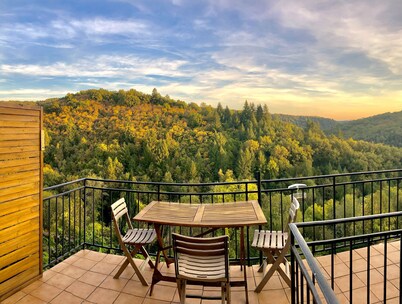 House/gite in medieval village of Najac