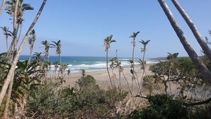 Una playa con palmeras y olas del océano.
