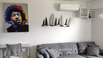 Smart TV, DVD player, books, stereo