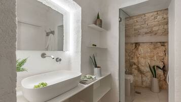 Shower, hair dryer, bidet, towels