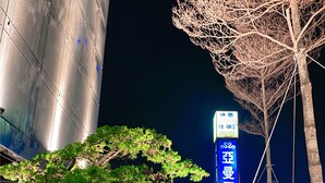 A tree in a planter with a building in the background. - Amani SPA Boutique Motel (Toufen)