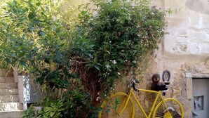 A yellow bicycle with a basket attached to the back, leaning against a stone wall. - "LE Temps Suspendu"studio de Charme3,filet de Détente Suspendu (Malaucène)