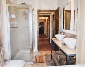 Combined shower/tub, hair dryer, bidet, towels
