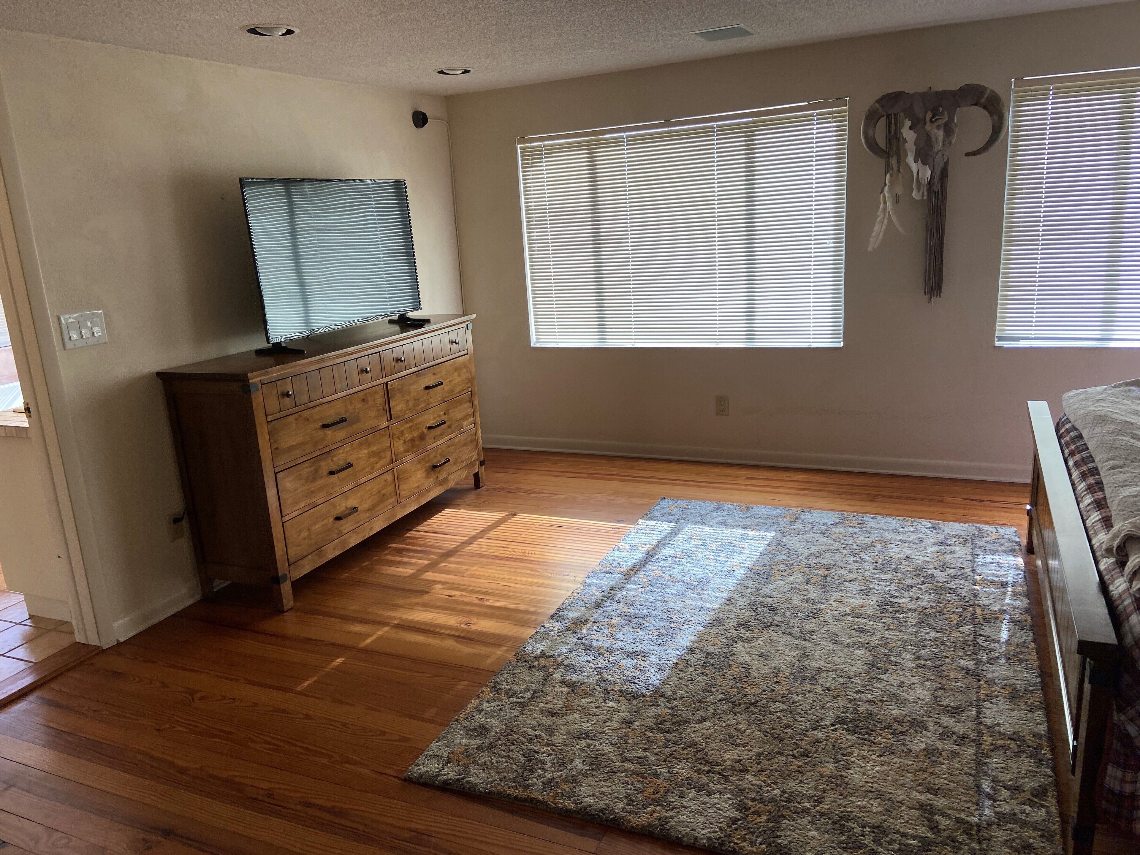 A bedroom with wooden flooring, a dresser, a television on top, a large window with blinds, and a decorative ram skull on the wall.