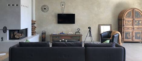 Smart TV, fireplace, books, computer monitors