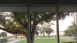 Blick durch ein Fenster auf eine von Bäumen gesäumte Gegend mit einer grünen Wiese und einem Gewässer in der Ferne.