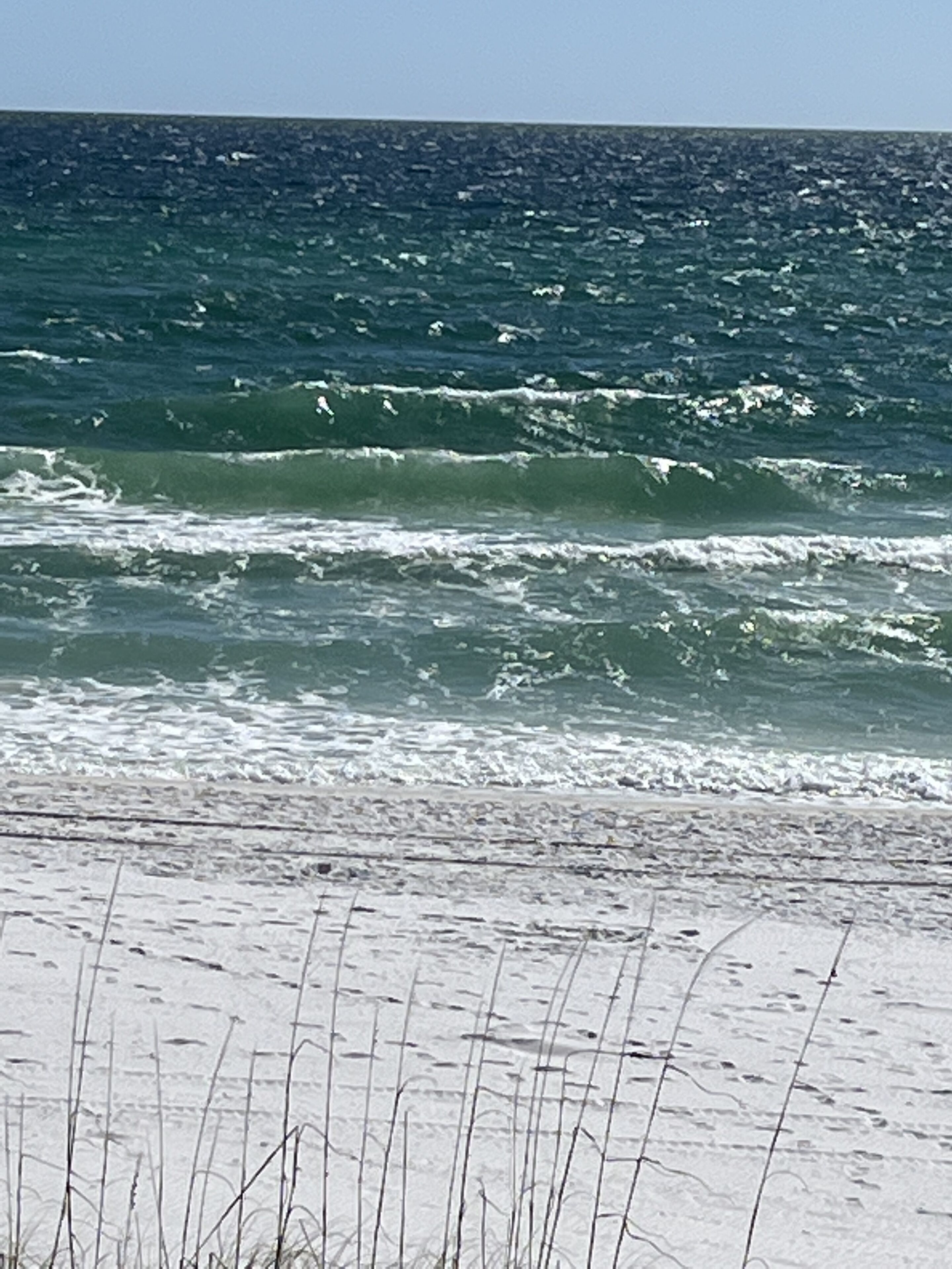 Ein Strand mit Wellen und Seegras im Vordergrund.
