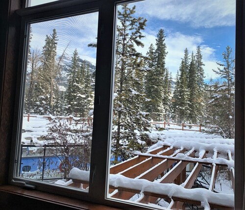 Spacious (700 sqft) 1 Bedroom/1 Bath cozy Condo /Pool & Hot tubs