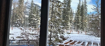 Spacious (700 sqft) 1 Bedroom/1 Bath cozy Condo /Pool & Hot tubs