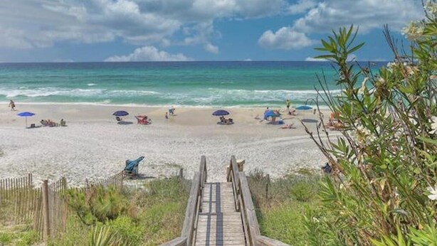 Une plage avec un escalier en bois qui descend vers le rivage, entourée de verdure.