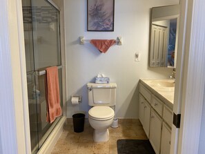 A bathroom with a glass shower enclosure, a toilet, a sink, and a mirror. - On the beach 4th Floor Direct Ocean Front Condo (Cocoa Beach)