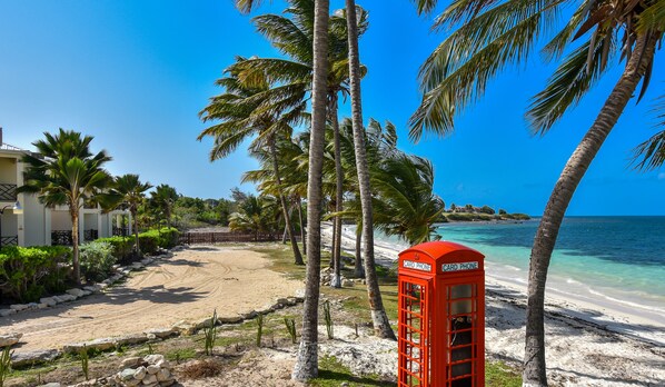 A beach with palm trees, a red telephone booth, and a clear blue sky. - Lord Nelson Hotel & Residences (Osbourn)