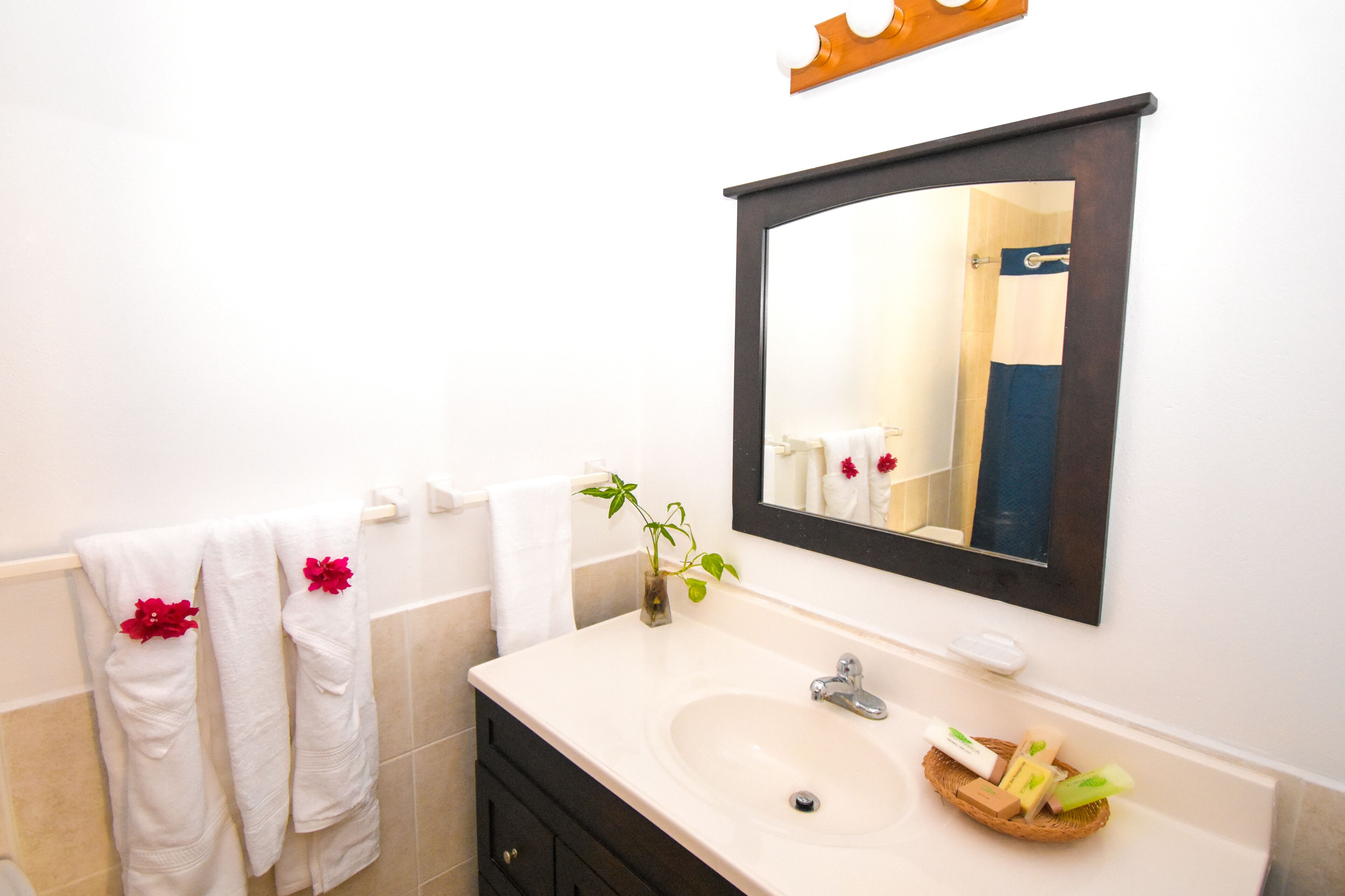 A bathroom with a white sink, dark vanity, and a mirror above it. There are towels hanging on a rack and a plant on the vanity.