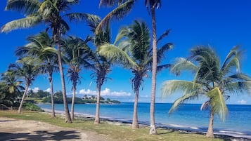 Trên bãi biển, cát trắng