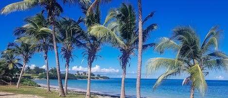 On the beach, white sand