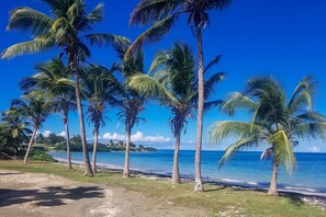 A beach with palm trees and a clear blue sky. - Lord Nelson Hotel & Residences (Osbourn)