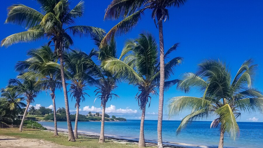 Lord Nelson Hotel & Residences