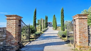 A paved pathway flanked by tall cypress trees and stone walls, leading to a building with a stone facade. - 360° views, pool, AC, pizza oven & bocce court (Casigliano, Acquasparta)