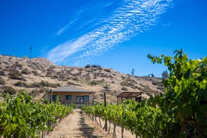Exterior - Private Lake Chelan Getaway (Manson)