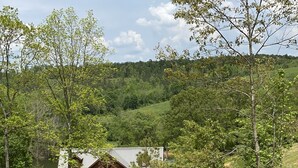 A rustic cabin with a metal roof, surrounded by a grassy field and trees, set in a hilly landscape. - Remote Cabin with all amenities  (Lutts)
