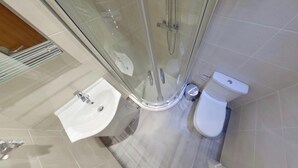 A modern bathroom with a glass shower enclosure, a white sink, and a toilet.
