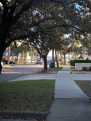 Not oceanfront, but this is the view from the driveway, a few feet from our door