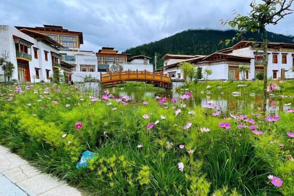 Konaklama yeri alanı