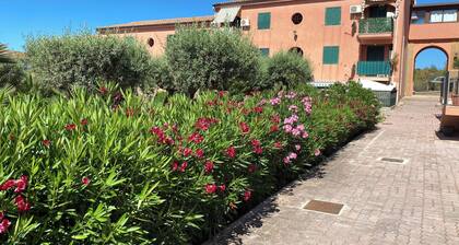 Apartment - Sleeps 3 & Swimming Pool