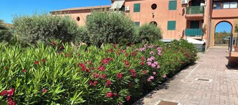 Apartment - Sleeps 3 & Swimming Pool