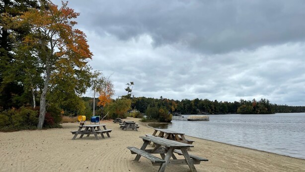 Un espace de pique-nique au bord du lac, avec des bancs et des tables en bois, entouré d’arbres aux feuilles d’automne.