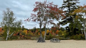 Une plage de sable avec une table de pique-nique et le tronc d’un arbre.