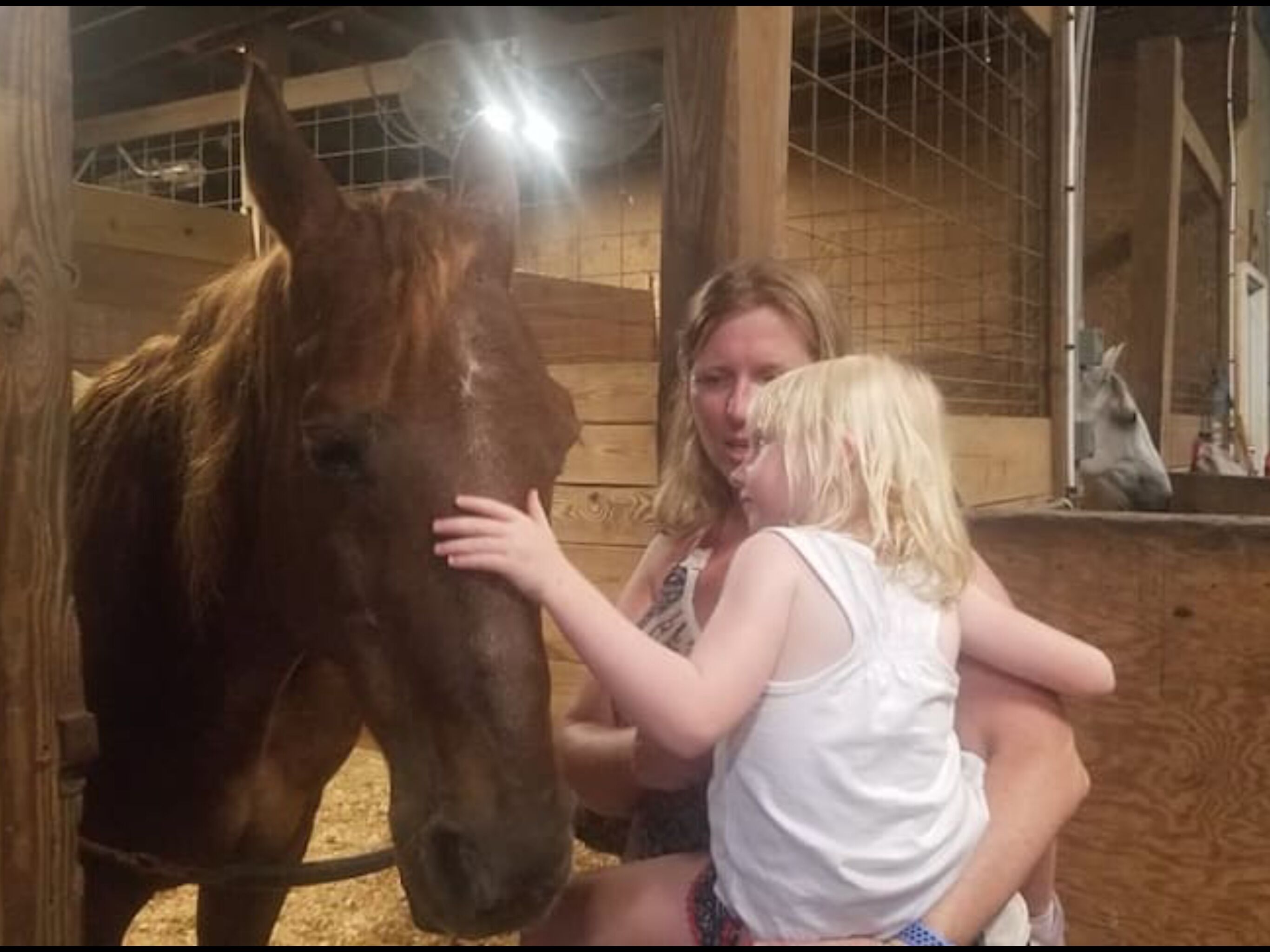 Horseback Riding Ranch Quality RV; Horses For All Ages and Levels on 25 acres!
