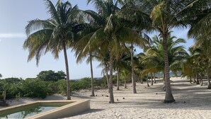 A sandy beach with palm trees and a small pool. - Beautiful beach house! (san crisanto)