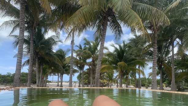 A poolside view with palm trees and clear skies. - Beautiful beach house! (san crisanto)