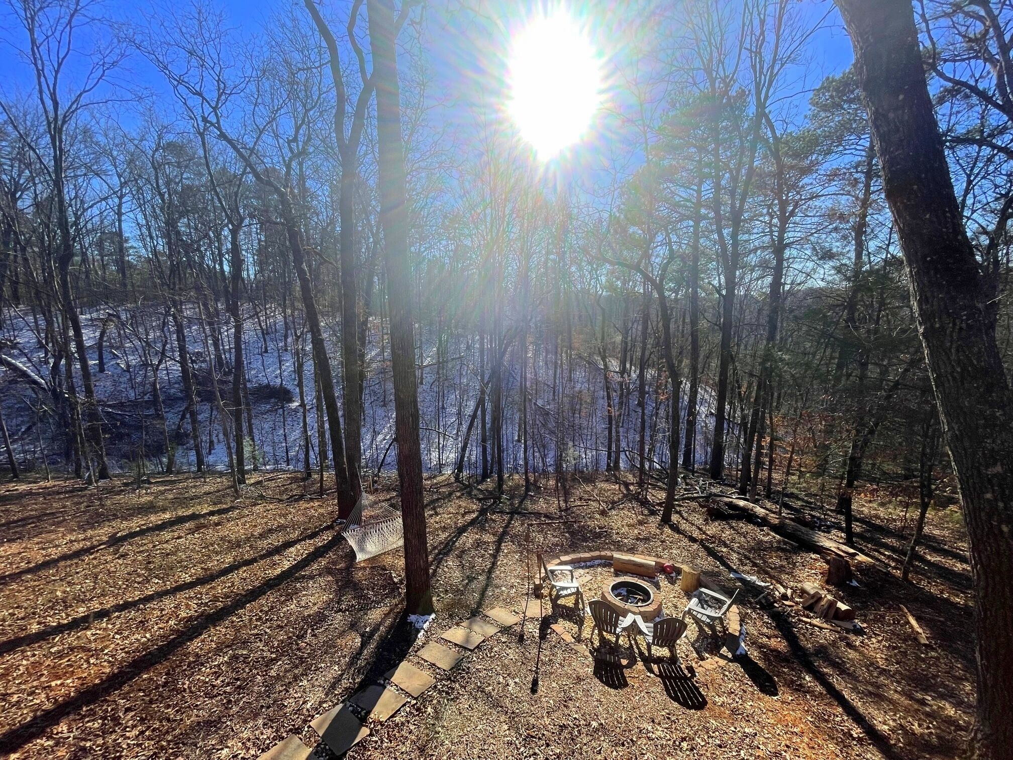 A forest with a fire pit and chairs.