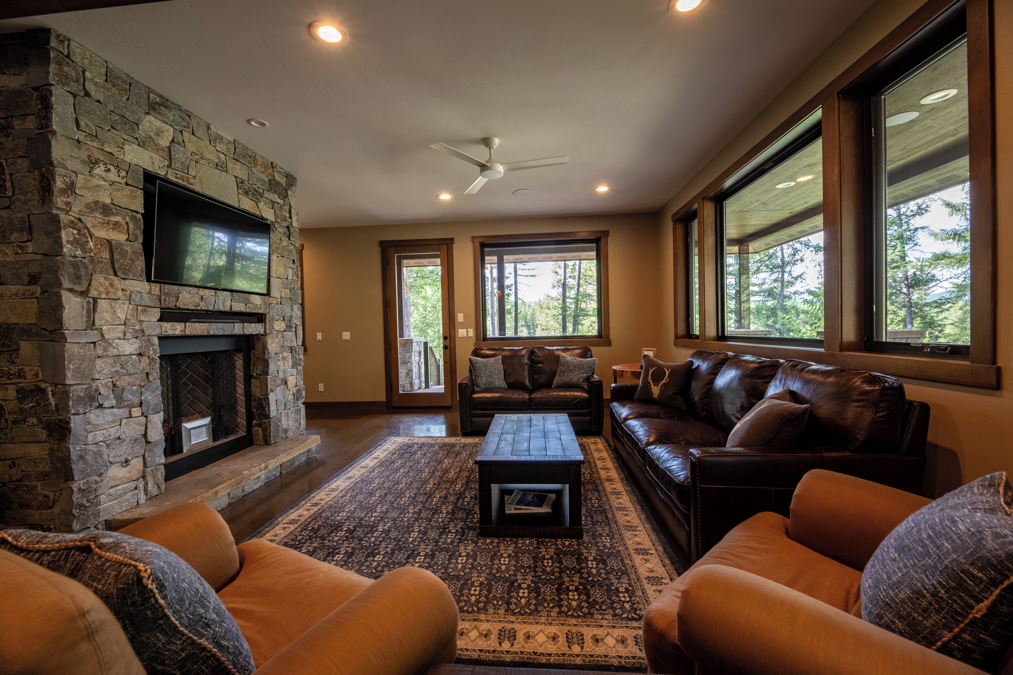 TV connectée, cheminée, livres