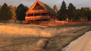 A wooden cabin with a balcony, surrounded by trees and a gravel path. - Peaceful Pines (Custer)