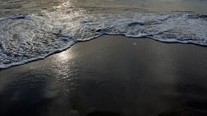 Ein Strand mit Wellen, wolkenlosem Himmel und Sonnenuntergang oder Sonnenaufgang.