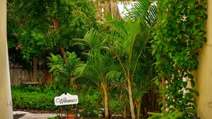 Ein Garten mit einem 'Welcome'-Schild, verschiedenen tropischen Pflanzen und einem Holzzaun im Hintergrund.