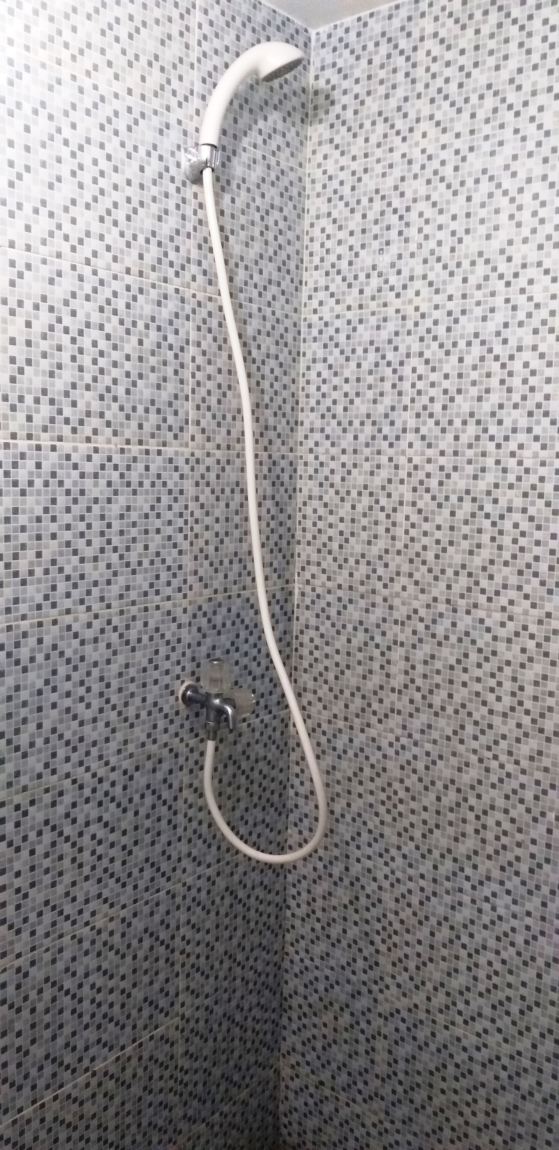 superior room | bathroom shower